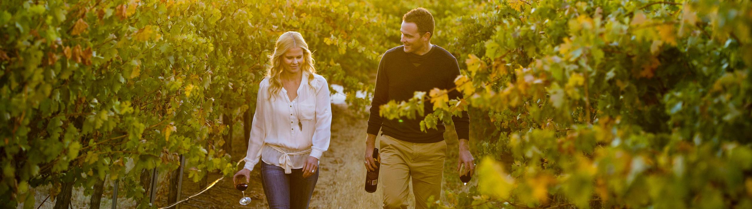 Clare Valley image